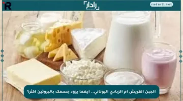 الجبن القريش أم الزبادي اليوناني.. أيهما يزود جسمك بالبروتين أكثر؟